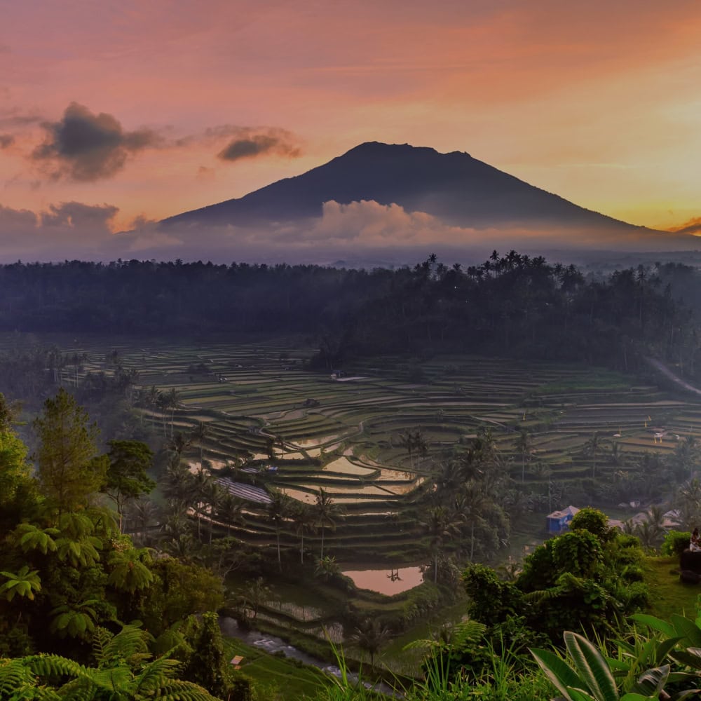 Bali-Sustainability-01-1
